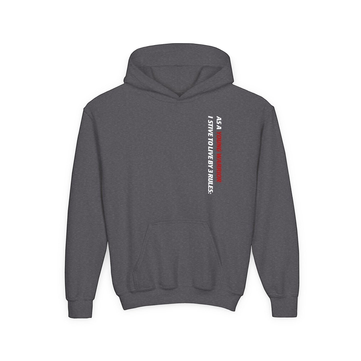 Immortal Krav Maga youth dark grey 50/50 cotton-poly hoodie with vertical red text: "AS A YOUNG WARRIOR I STRIVE TO LIVE BY 3 RULES."